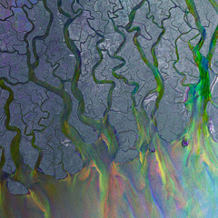 An Awesome Wave by alt-J album cover