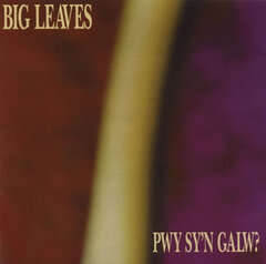 Pwy Sy’n Galw? by Big Leaves album cover