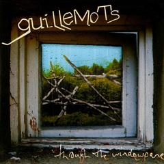 Through the Windowpane by Guillemots album cover