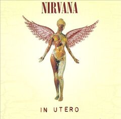 In Utero by Nirvana album cover