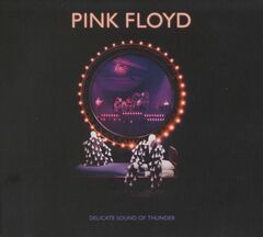 Delicate Sound of Thunder by Pink Floyd album cover