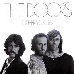 Other Voices by The Doors album cover