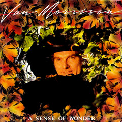 A Sense of Wonder by Van Morrison album cover