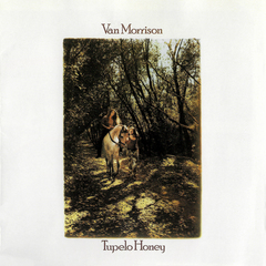 Tupelo Honey by Van Morrison album cover